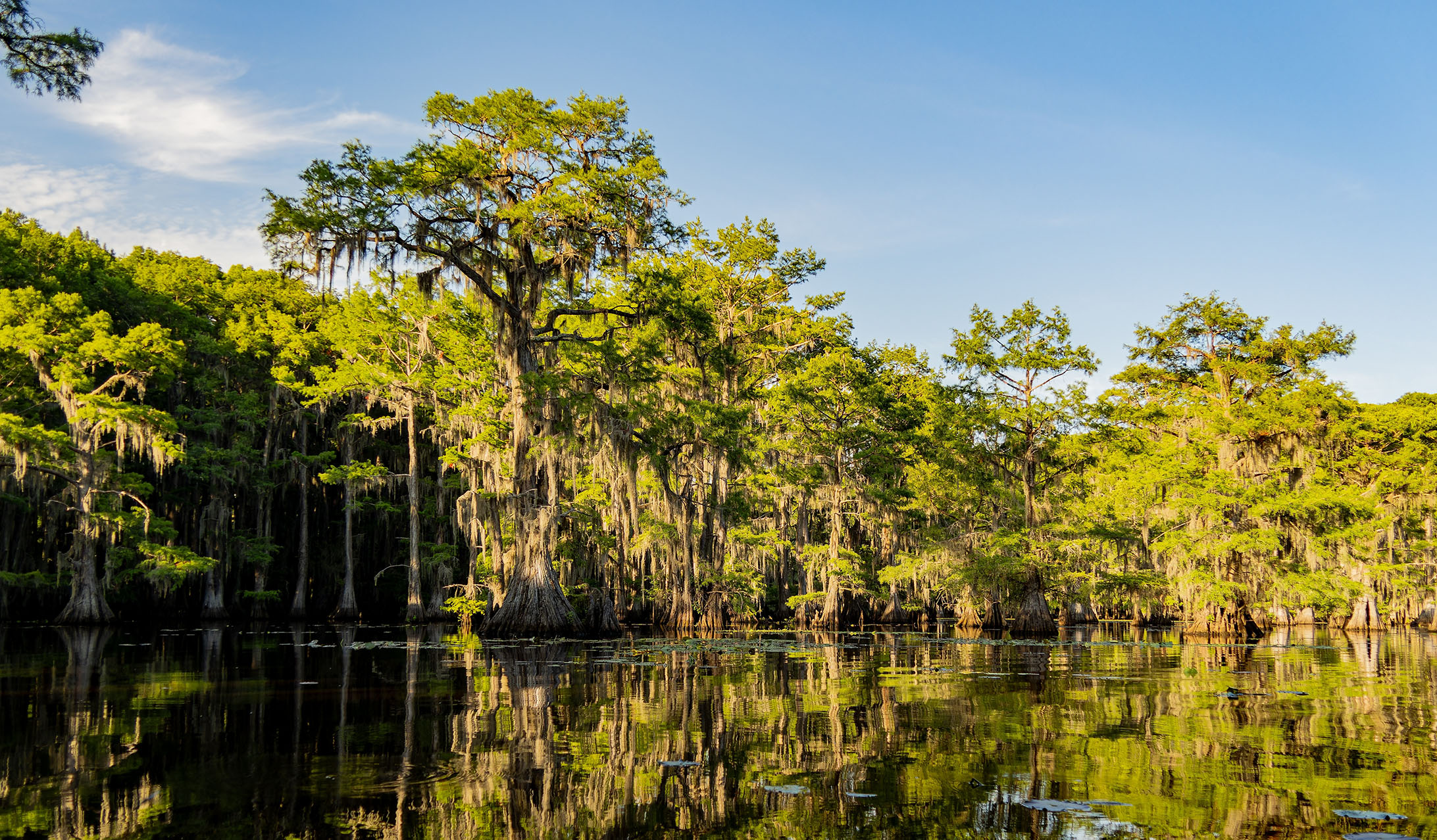 Photo of Caddo Mills in Texas