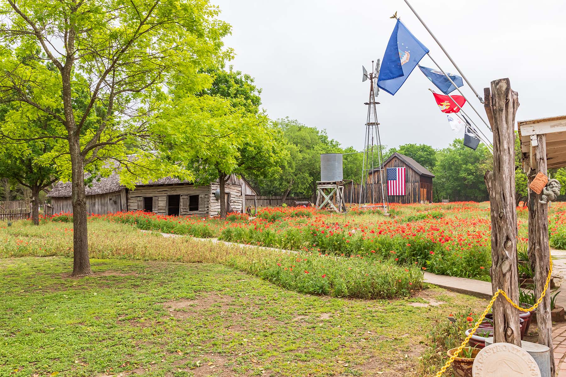 Photo of Castroville in Texas