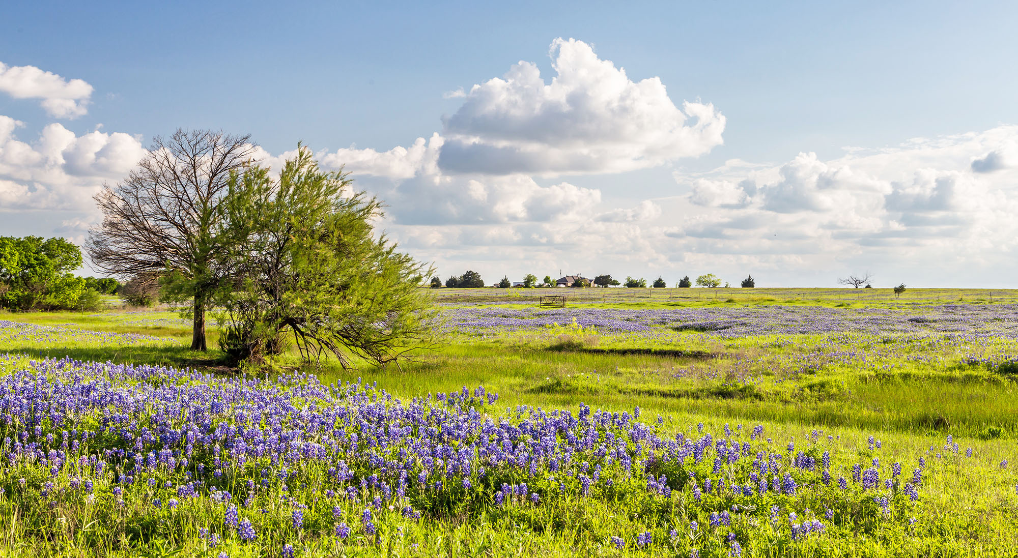 Photo of Ennis in Texas