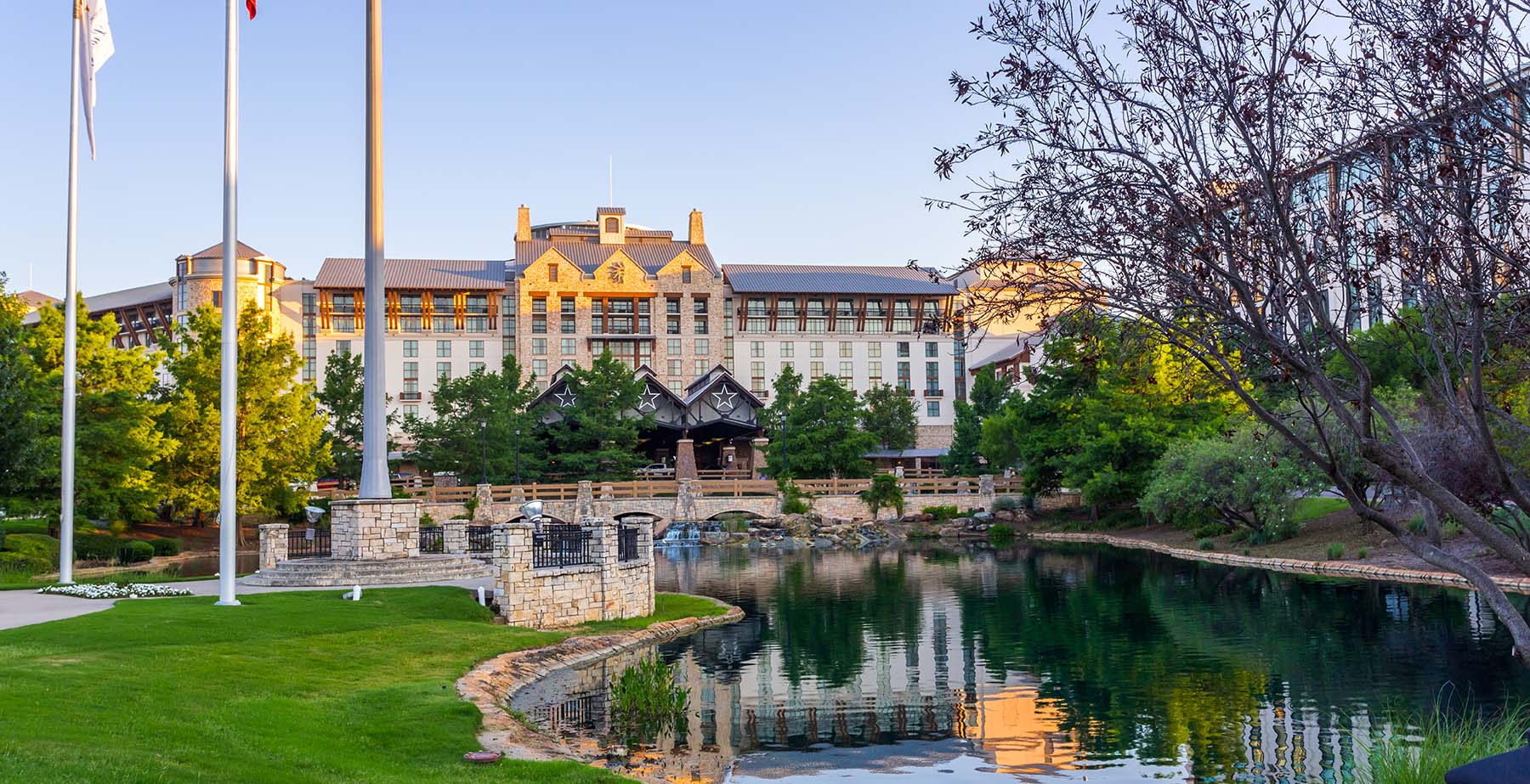 Photo of Grapevine in Texas