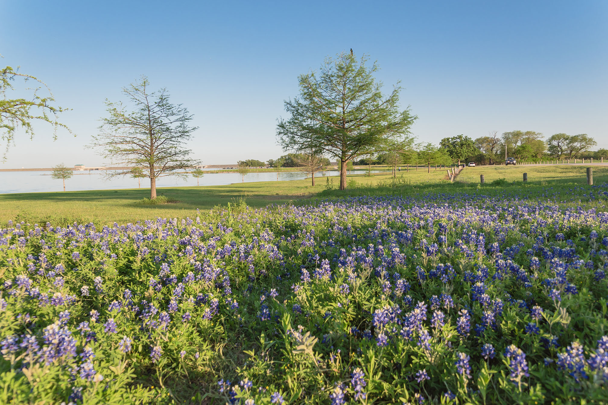 Photo of Lewisville in Texas