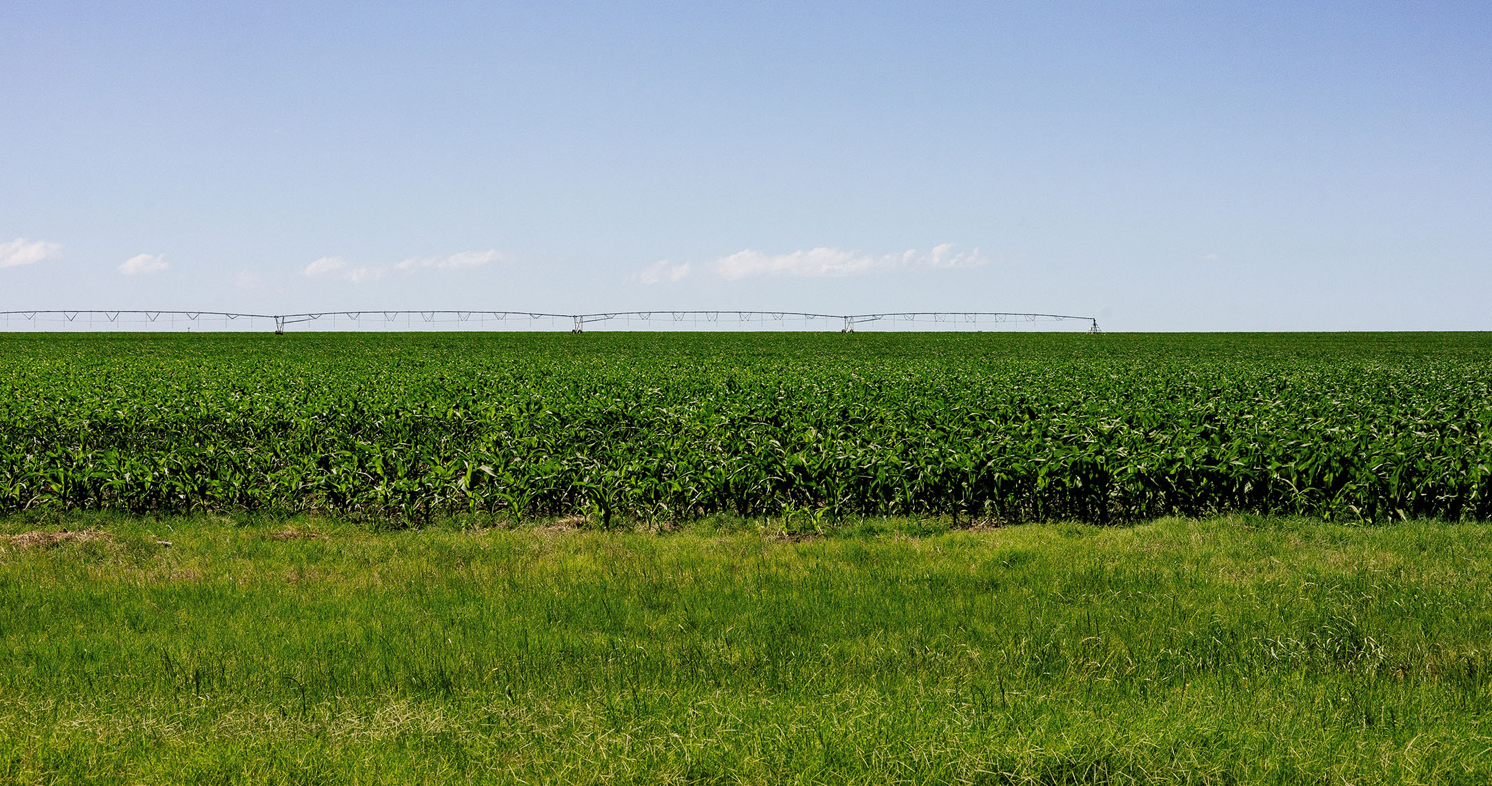 Photo of Wilson in Texas