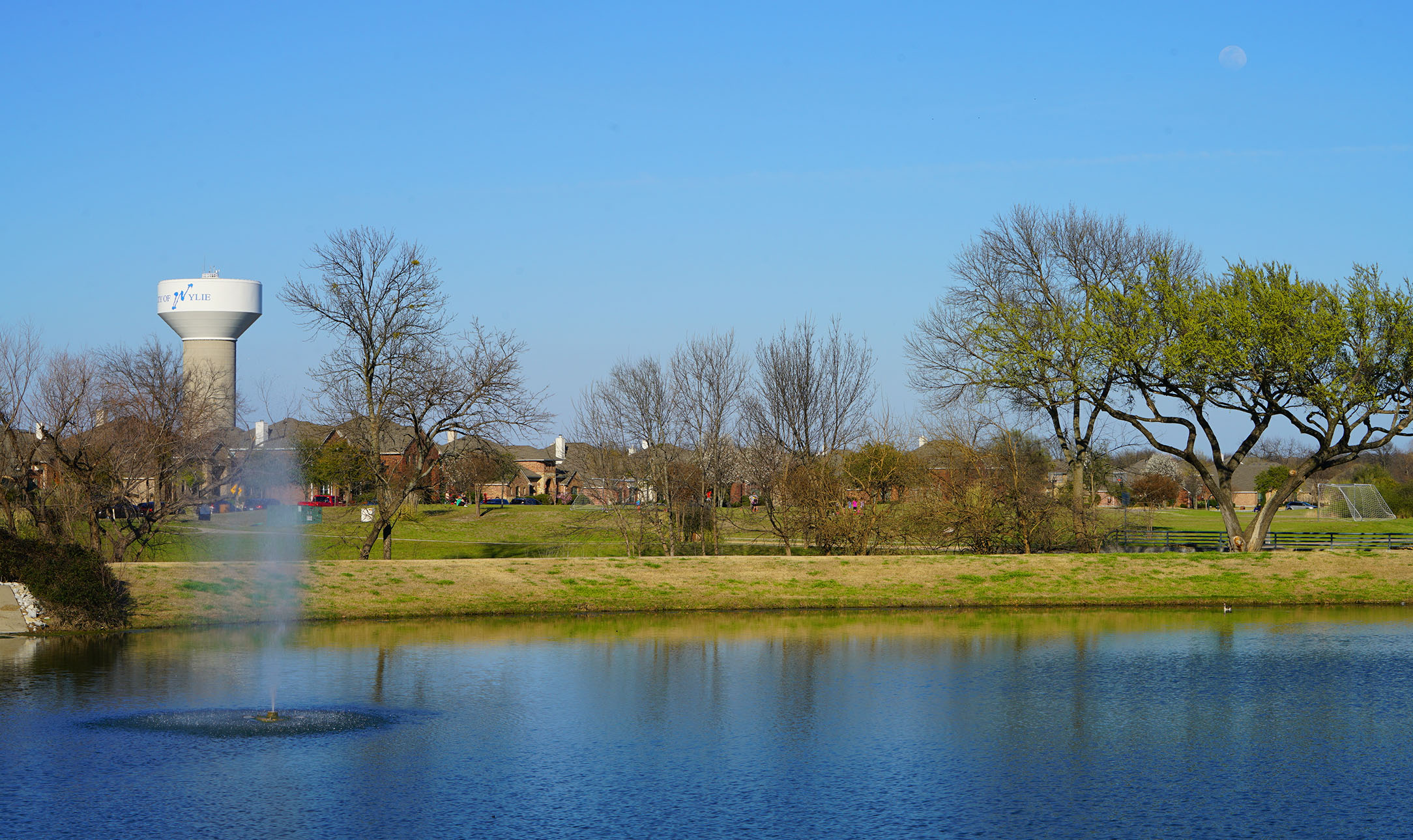 Photo of Wylie in Texas